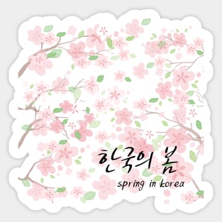 spring in korea,cherry blossoms bloom Sticker